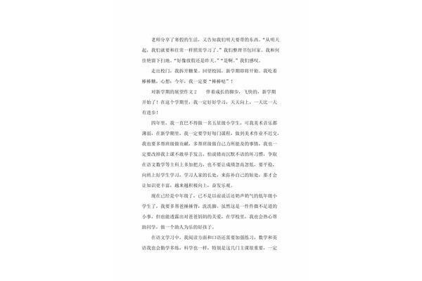 对新学期的展望