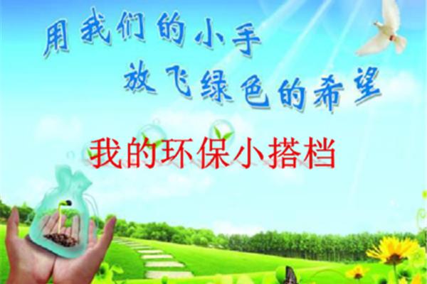 我的环保小搭档