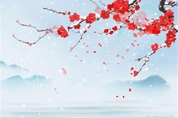 有雪的诗句