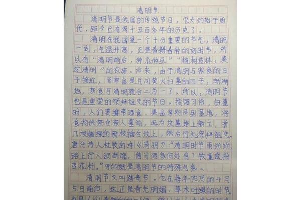 关于新年的作文