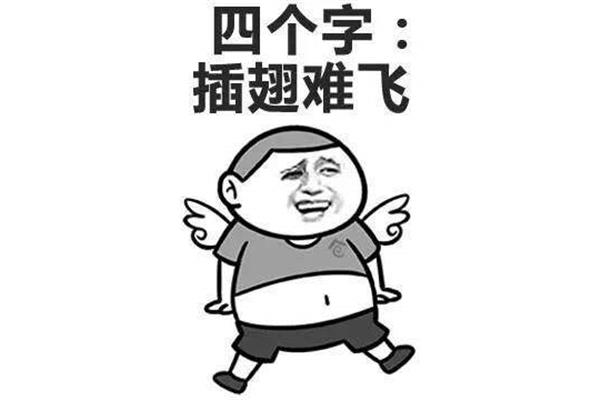 一句话形容自己