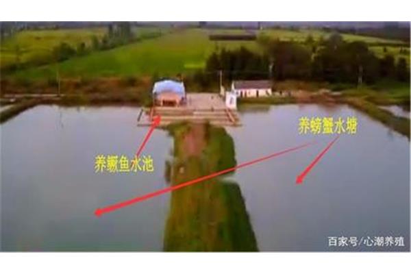 什么样的水塘