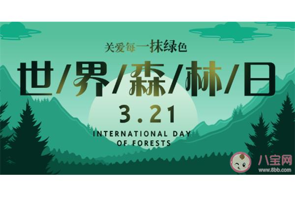 世界森林日