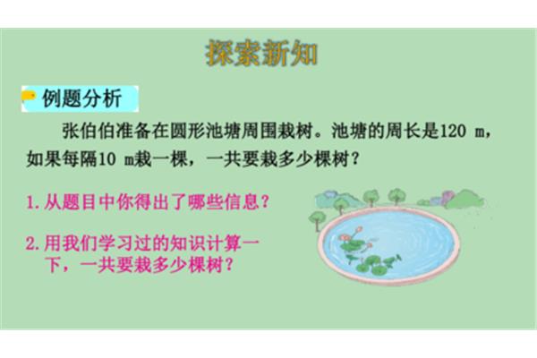 五年级植树问题