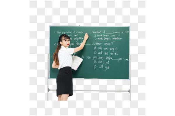 年轻的女教师4