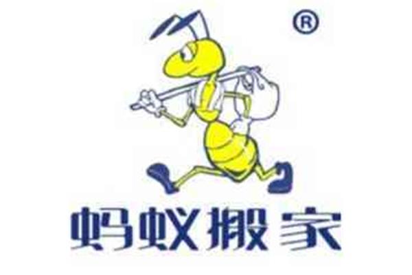 小蚂蚁搬家