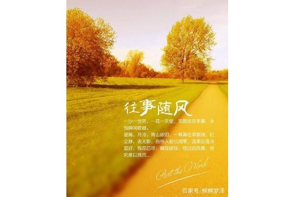 让往事随风