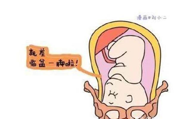 宝宝多少周入盆