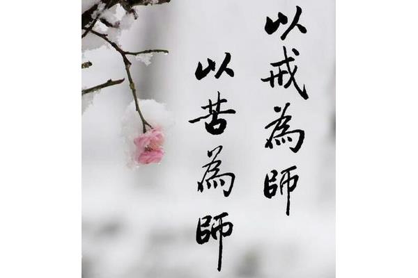 执着是什么意思