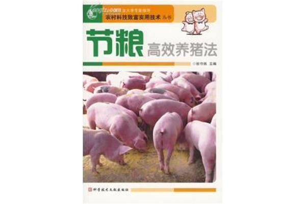 高效养猪技术
