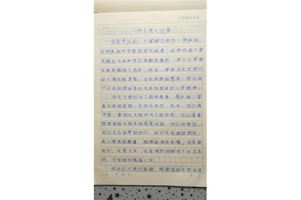 写信作文300字