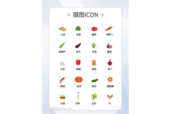 茄子的英语单词