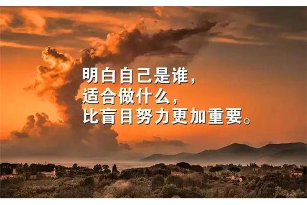 每天一条正能量