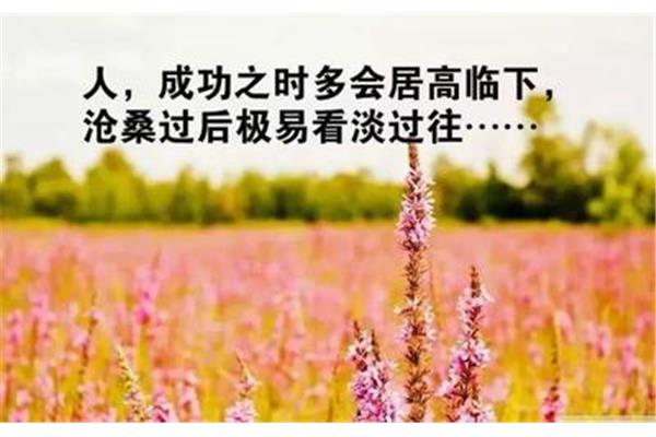 每天一条正能量