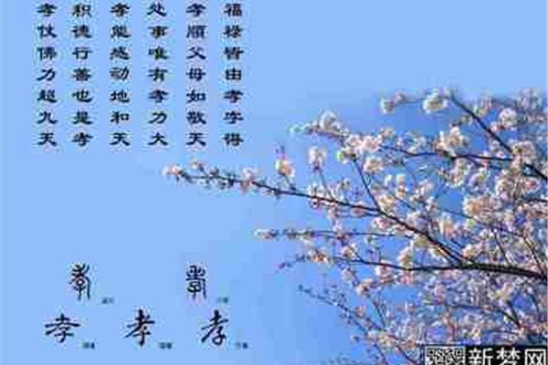 关于孝的句子