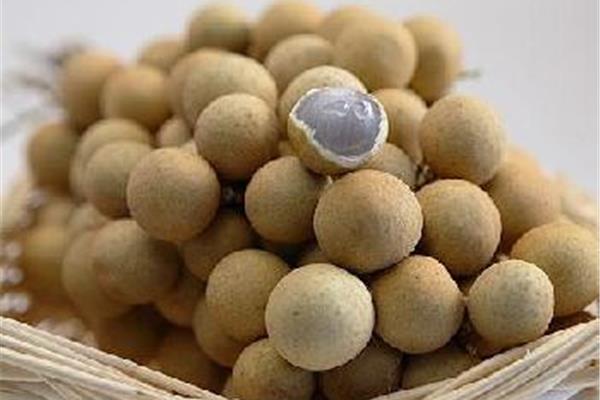 小孩能吃桂圆吗