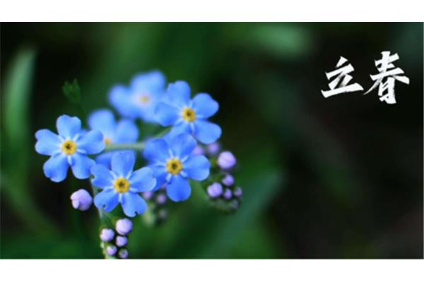 描写春天的句子