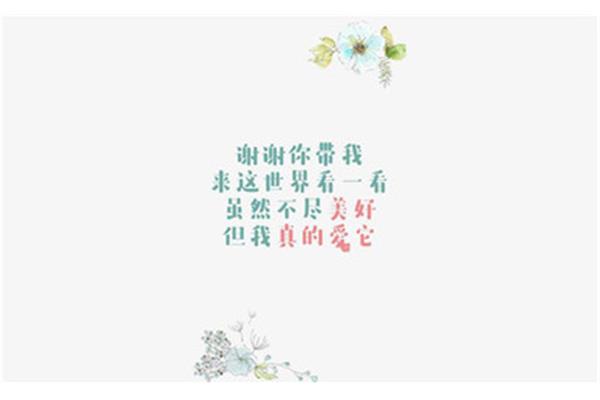 真的谢谢你