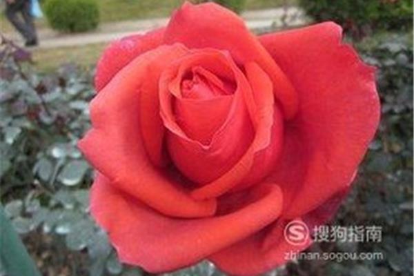 祝福别人的话语