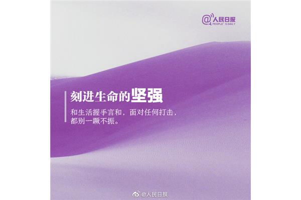 每天一条正能量
