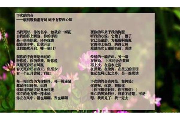 最美的爱情诗