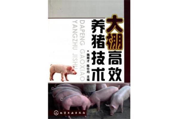 高效养猪技术