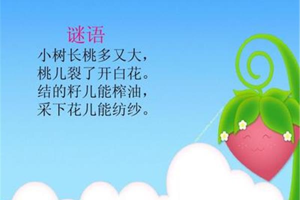 关于花的谜语