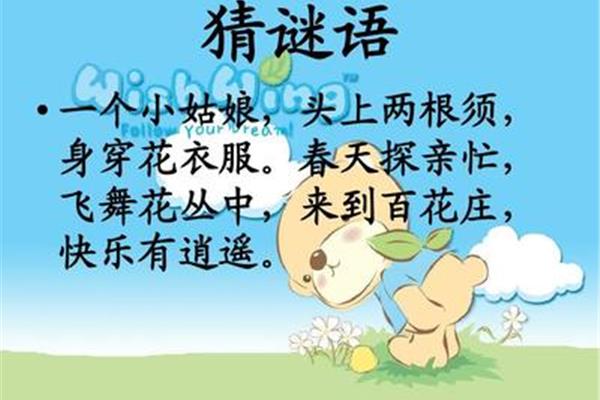 关于花的谜语