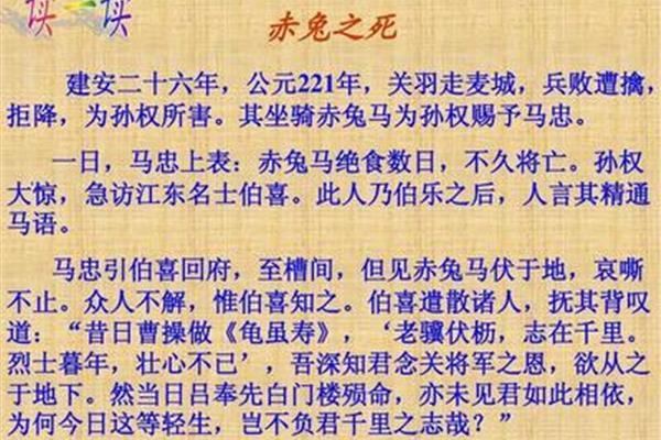 赤兔之死作者现状