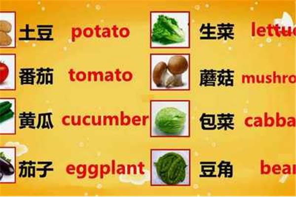 茄子的英语单词