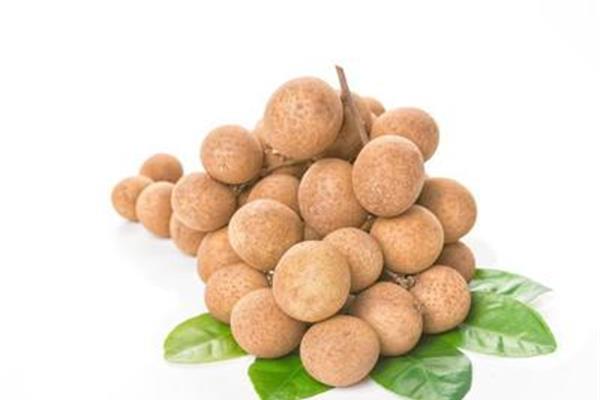 小孩能吃桂圆吗