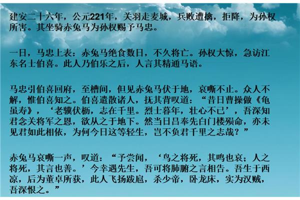 赤兔之死作者现状