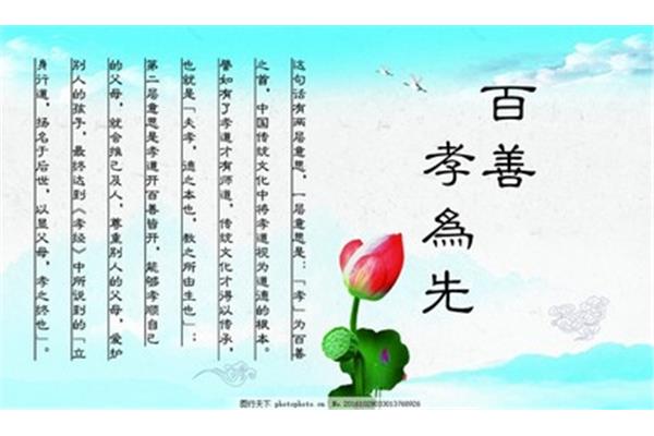 关于孝的句子