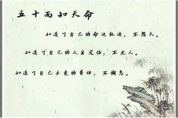 执着是什么意思