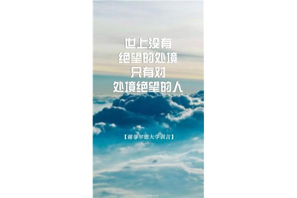 每天一条正能量