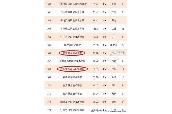 高职高专排名