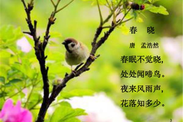 春天的古诗