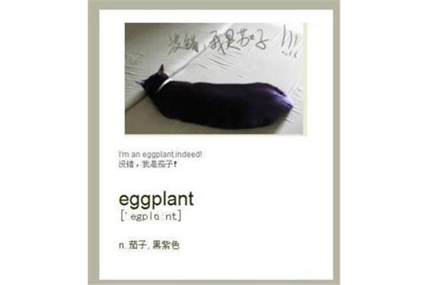 茄子的英语单词
