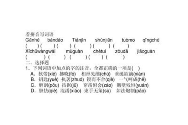 胆小的拼音