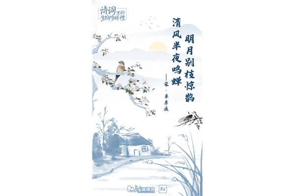 春天的古诗