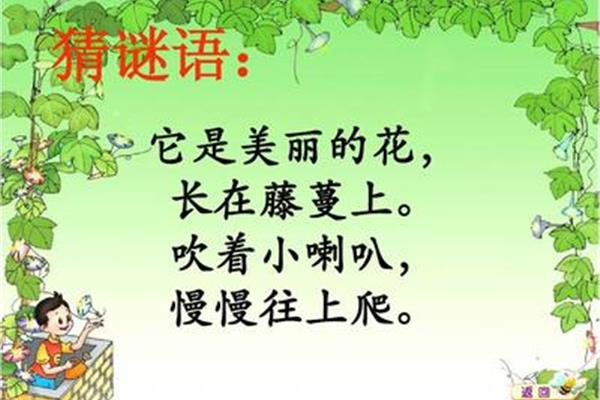 关于花的谜语