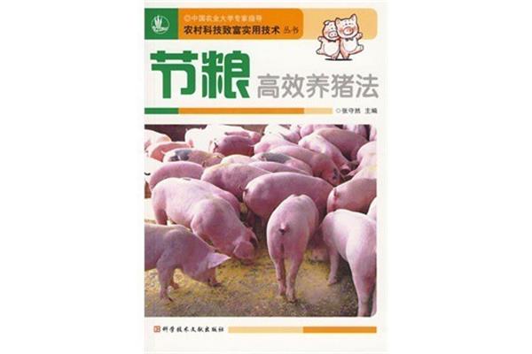 高效养猪技术