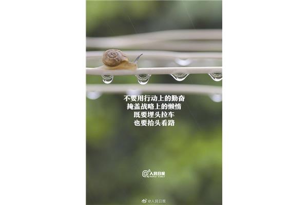 每天一条正能量