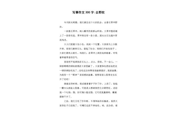 300个字的作文