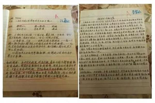 课外阅读读书笔记