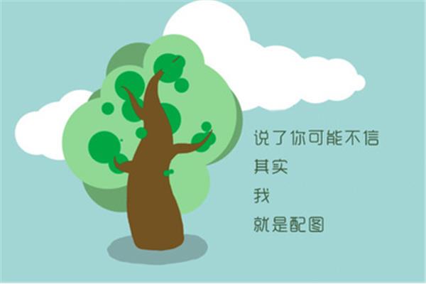 关于花的谜语