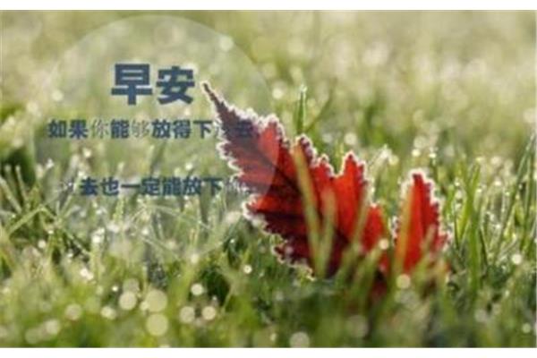 看淡人生的句子
