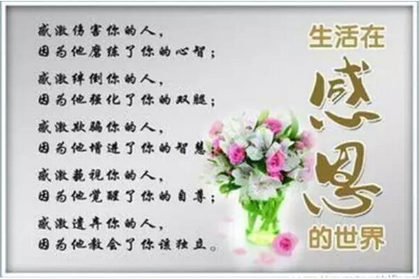 感恩社会的句子