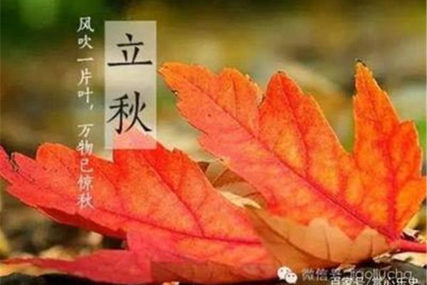 关于秋天的俗语