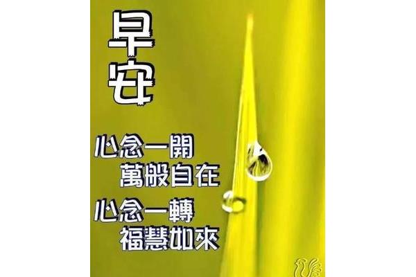 午安的暖心句子